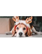NAVIDAD